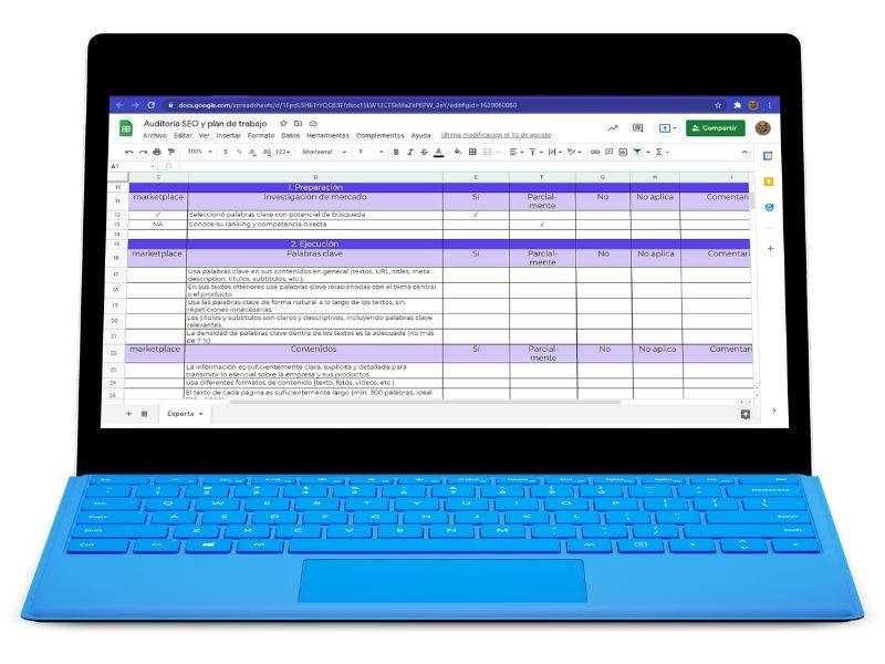 Computer screen showing an SEO Audit guideline.