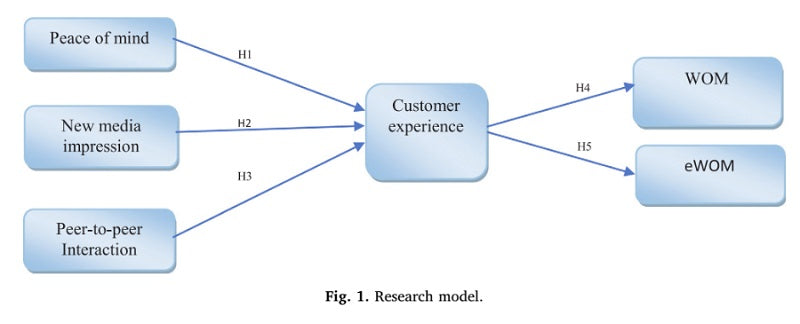 Diagram showing a word-of-mouth measurement instrument.