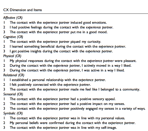 List of phrases in English from a customer experience measurement model
