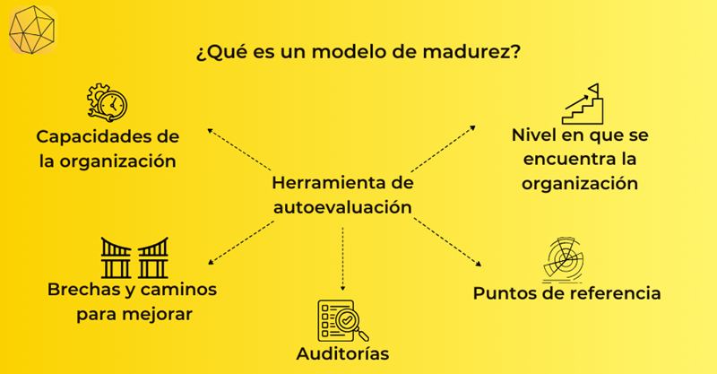 Diagram explaining what a maturity model is