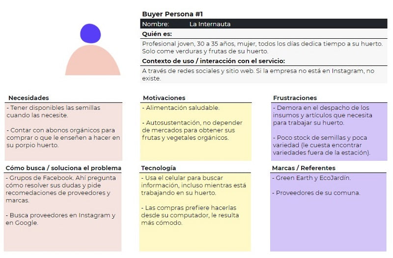 Example of a Buyer Persona template with filled-in data.