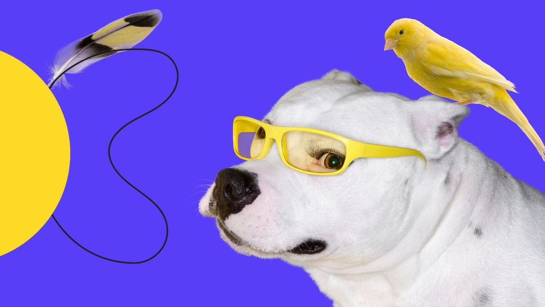 7 Usability Mistakes to Avoid on Your E-commerce Site