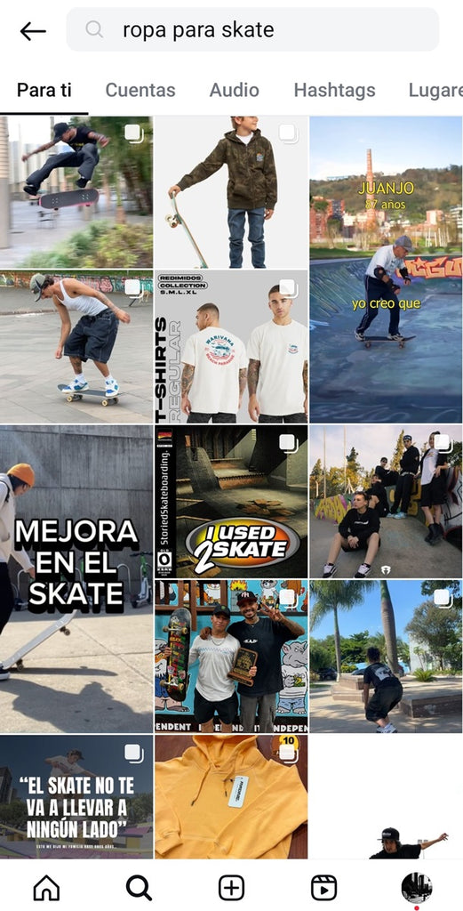 Screenshot of an Instagram search for skate clothing.