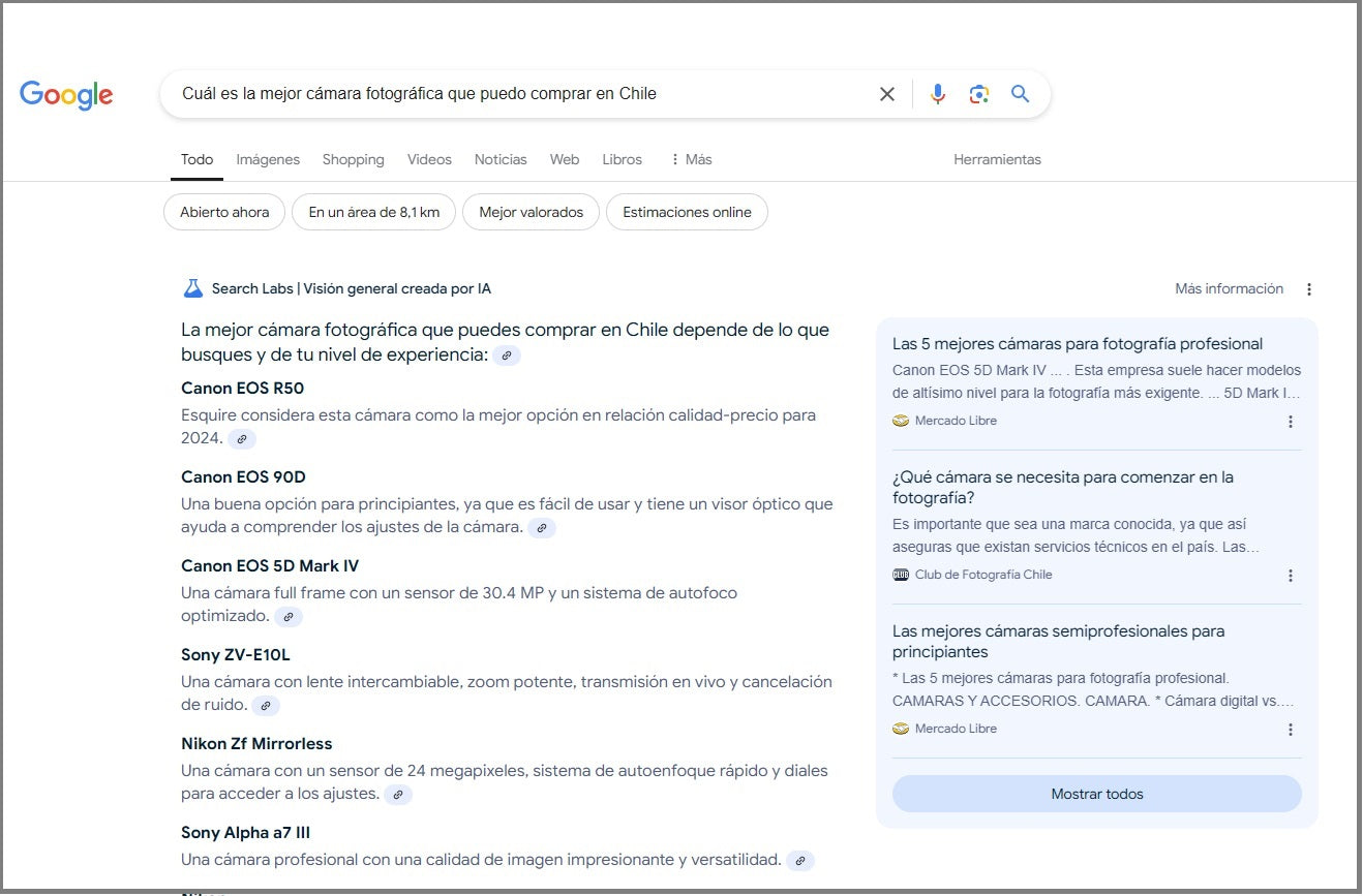 Screenshot of a Google result with AI Overview