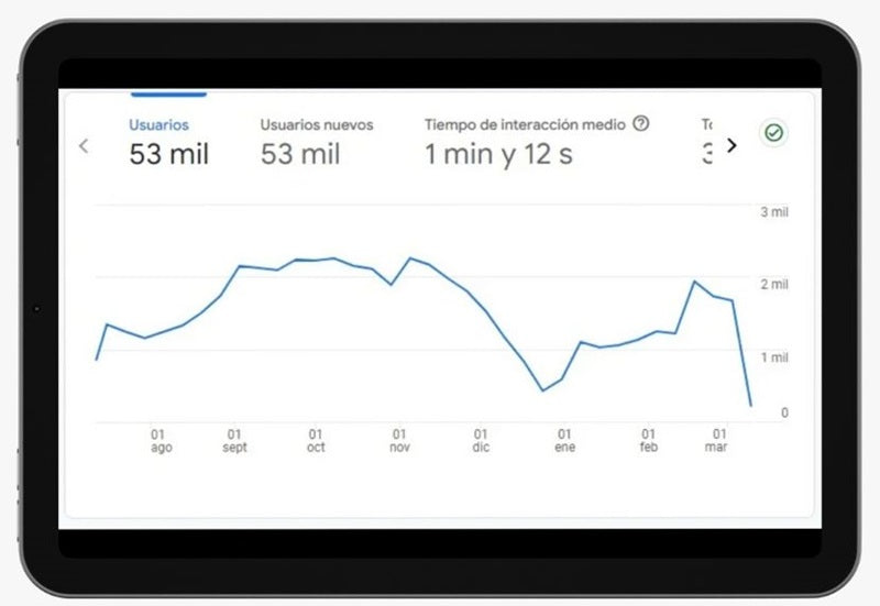 Tablet showing a Google Analytics graph on screen.