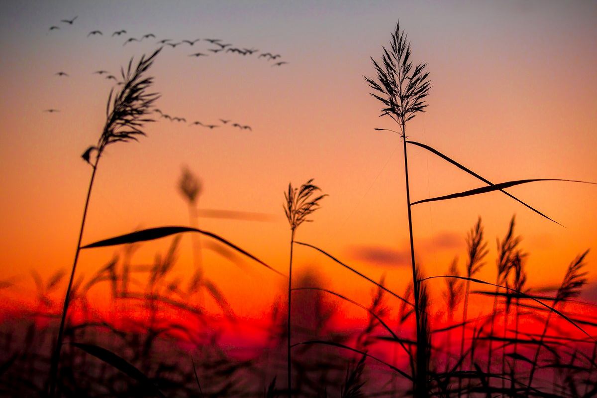 Inspiring sunset landscape.