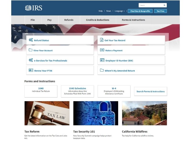 Screenshot of the IRS website of the United States government in 2008.
